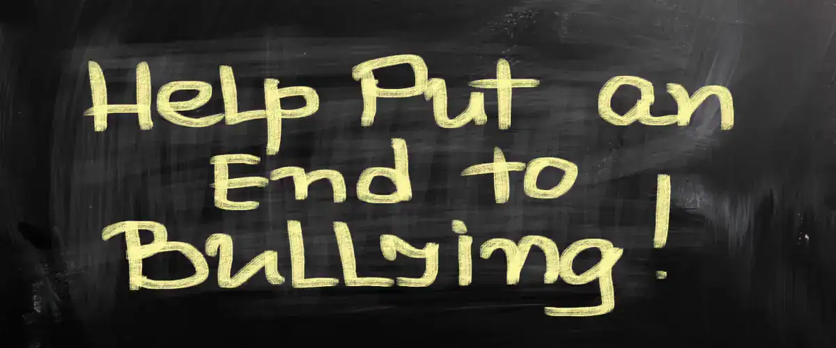 Community Guidelines No Bullying