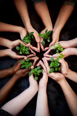Discover More Grow Together